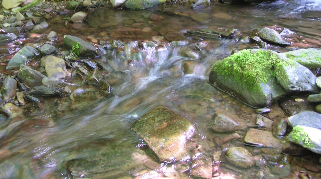 East Water below the splash - June 2011