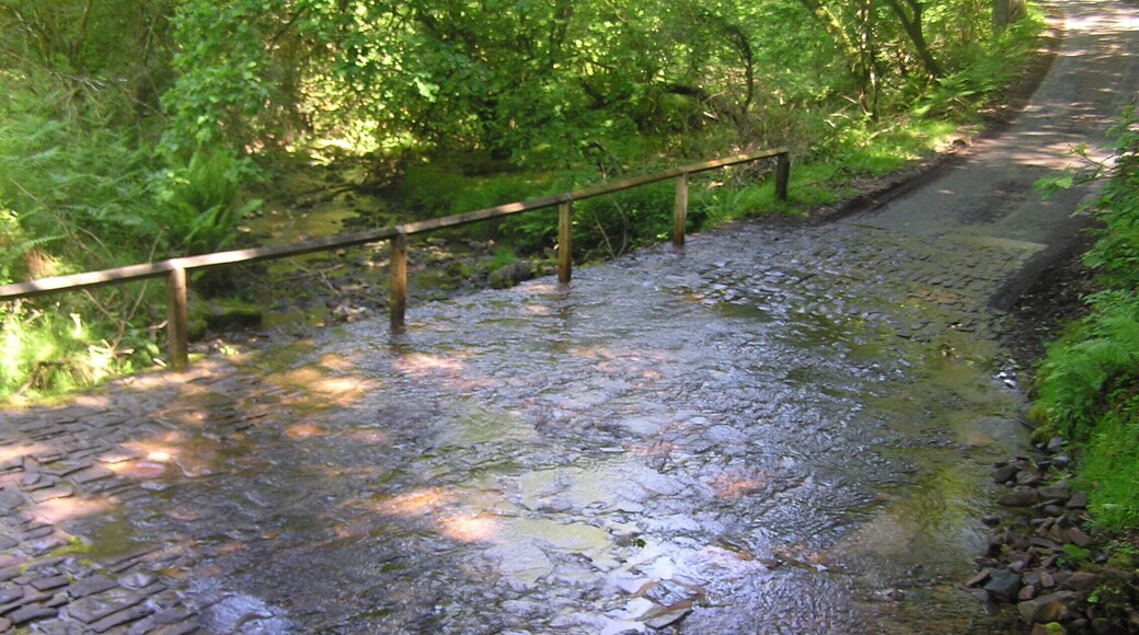 Watersplash - June 2011