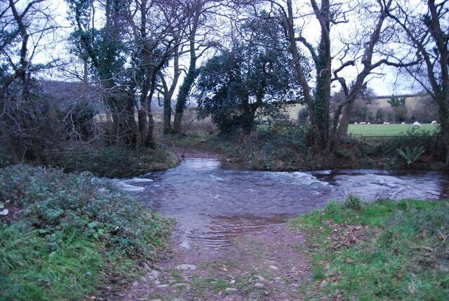 Un sendero estrecho y embarrado que atraviesa un área boscosa, con un pequeño arroyo cruzándolo.