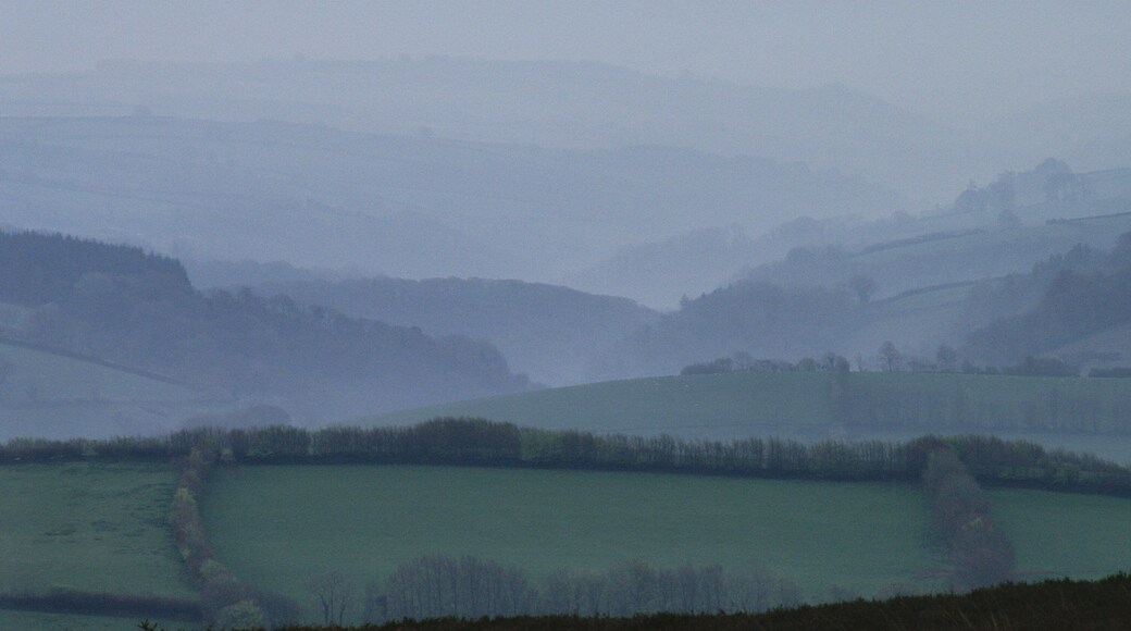 The Brendon hills from Dunkery