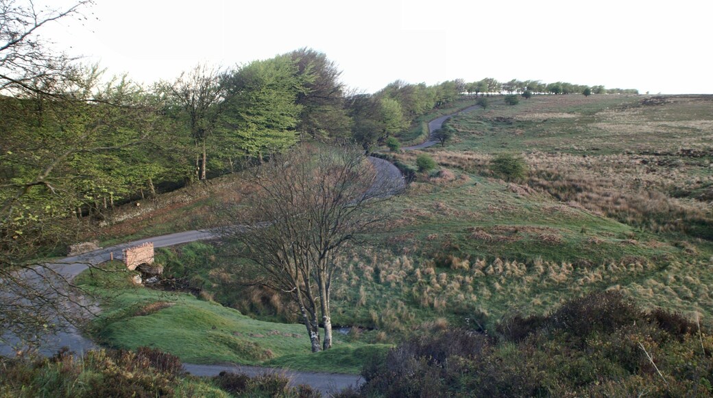 The Bridge at Chetsford Water, Exmoor