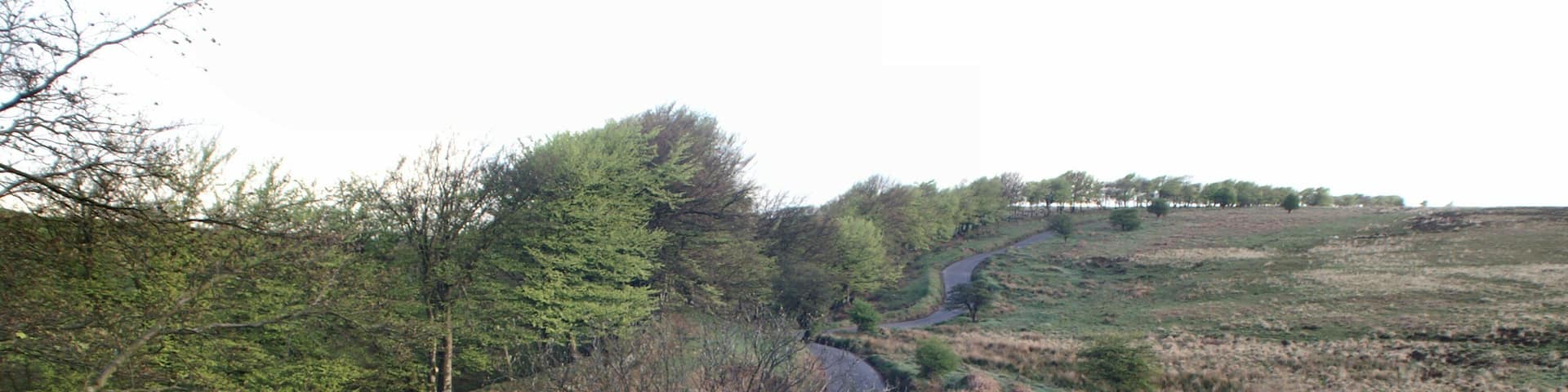 The Bridge at Chetsford Water, Exmoor