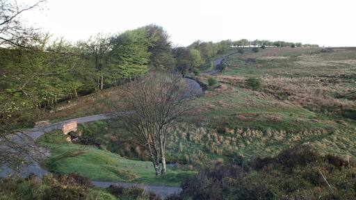 The Bridge at Chetsford Water, Exmoor