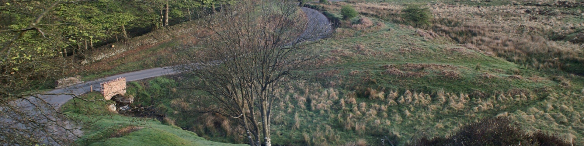 The Bridge at Chetsford Water, Exmoor