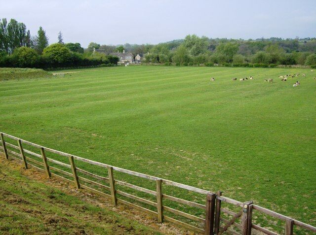 Towards Hyde Mill The footpath descends steeply from a pond embankment to cross this field, being used as cow pasture, with its very clear ridge and furrow pattern. Hyde Mill is in the far corner (in the next square).