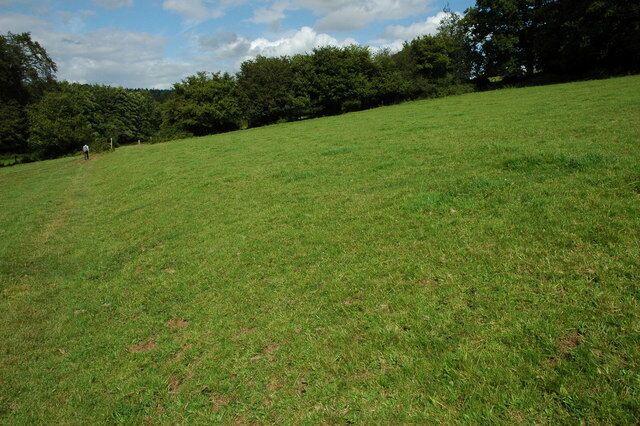 Footpath near Ayleford This footpath from Ayleford to Oaklands Park crosses the north-east corner of this grid square.