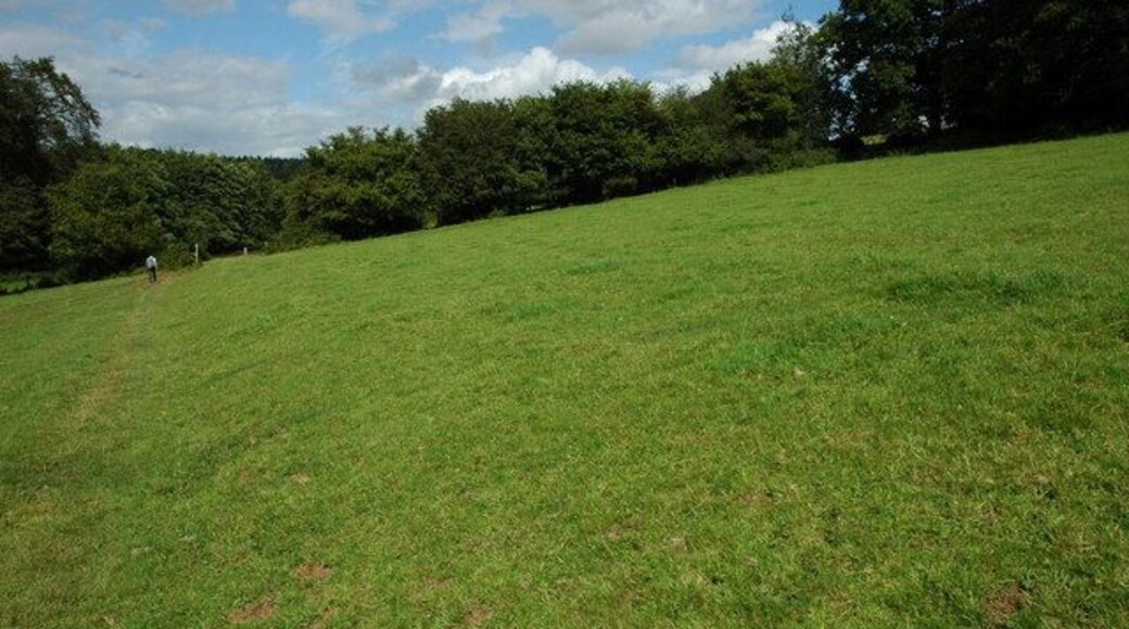Footpath near Ayleford This footpath from Ayleford to Oaklands Park crosses the north-east corner of this grid square.