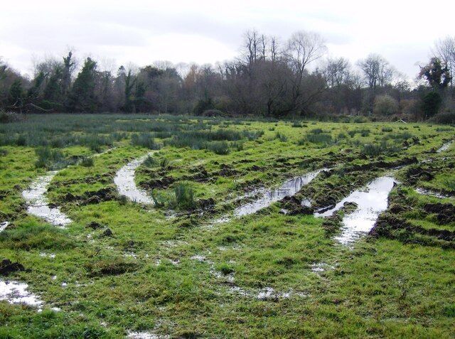Wet from the Wey The wet ground near the river (off top the right) can clearly be seen here; the floodplain is doing its job.