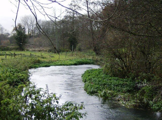 River Wey near Froyle The river is flowing from Alton. The terminus is only about three miles upstream but already this is a significant river, shallow but fast-flowing.