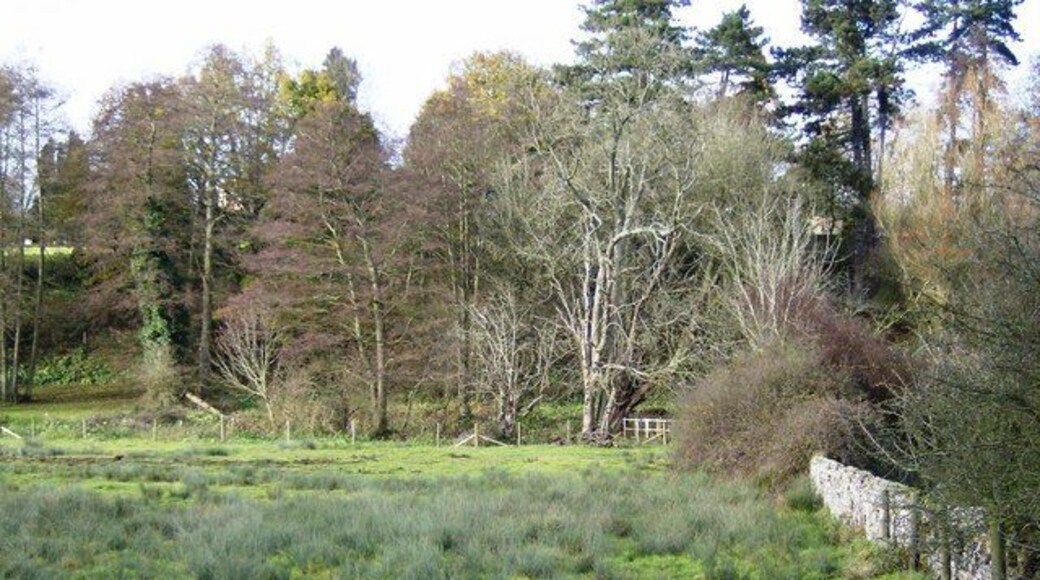 River Wey floodplain The bridge over the river can be seen at the end of the wall. This was a marshy field, probably subject to frequent flooding.