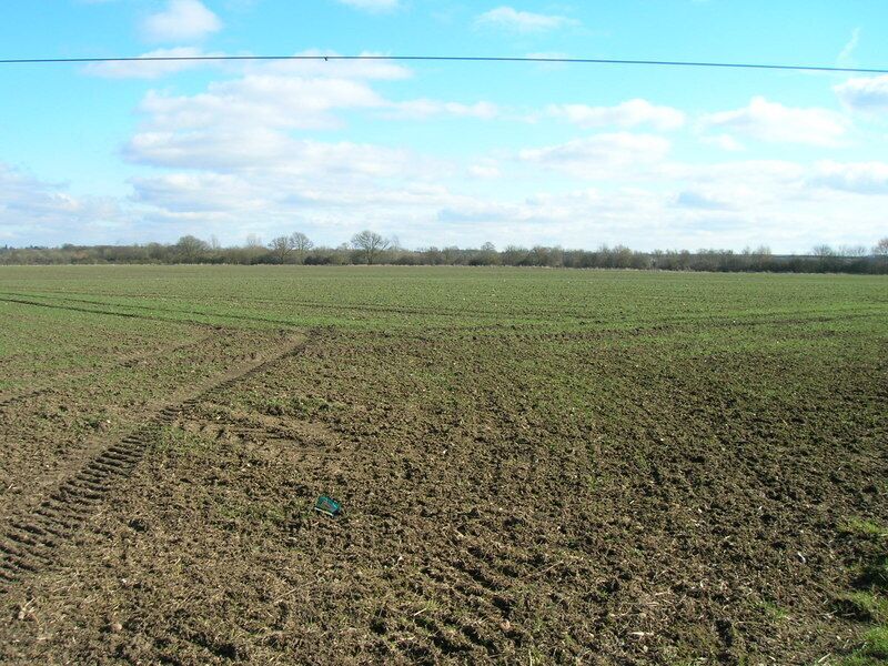 Farmland near Bulcote