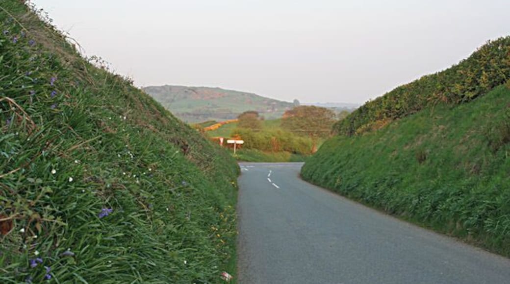 Meeting the B5053. High flower-filled banks to the Fawfieldhead road. The line of yellow in the field beyond the junction is a gorse hedge in full flower.