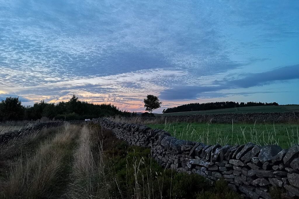 A stone wall, grassy field, and a tree against a sunset sky.