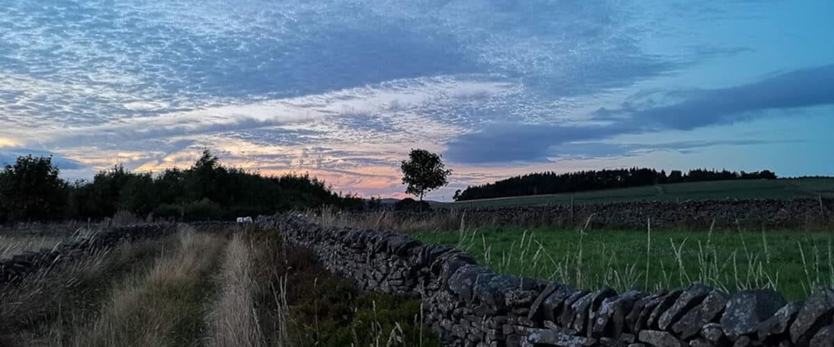 A stone wall, grassy field, and a tree against a sunset sky.