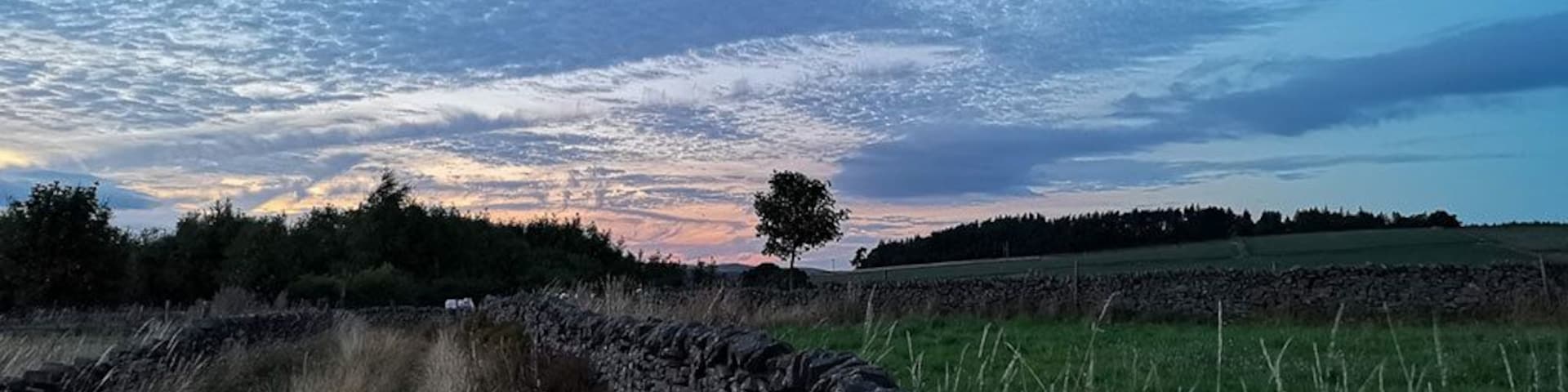 A stone wall, grassy field, and a tree against a sunset sky.
