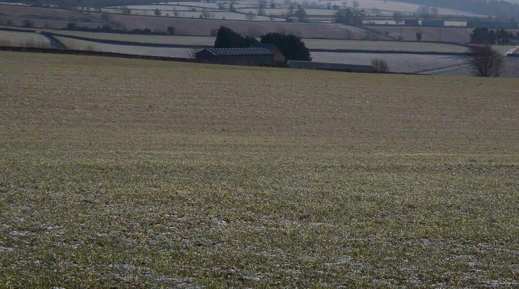Luckley Hill Barn and view The barn is seen, across the fields, from the track. The view of the frozen landscape behind stretches all the way to Stow-on-the-Wold. The tower of Stow's parish church of St Edward is visible on the horizon to the right of the barn.