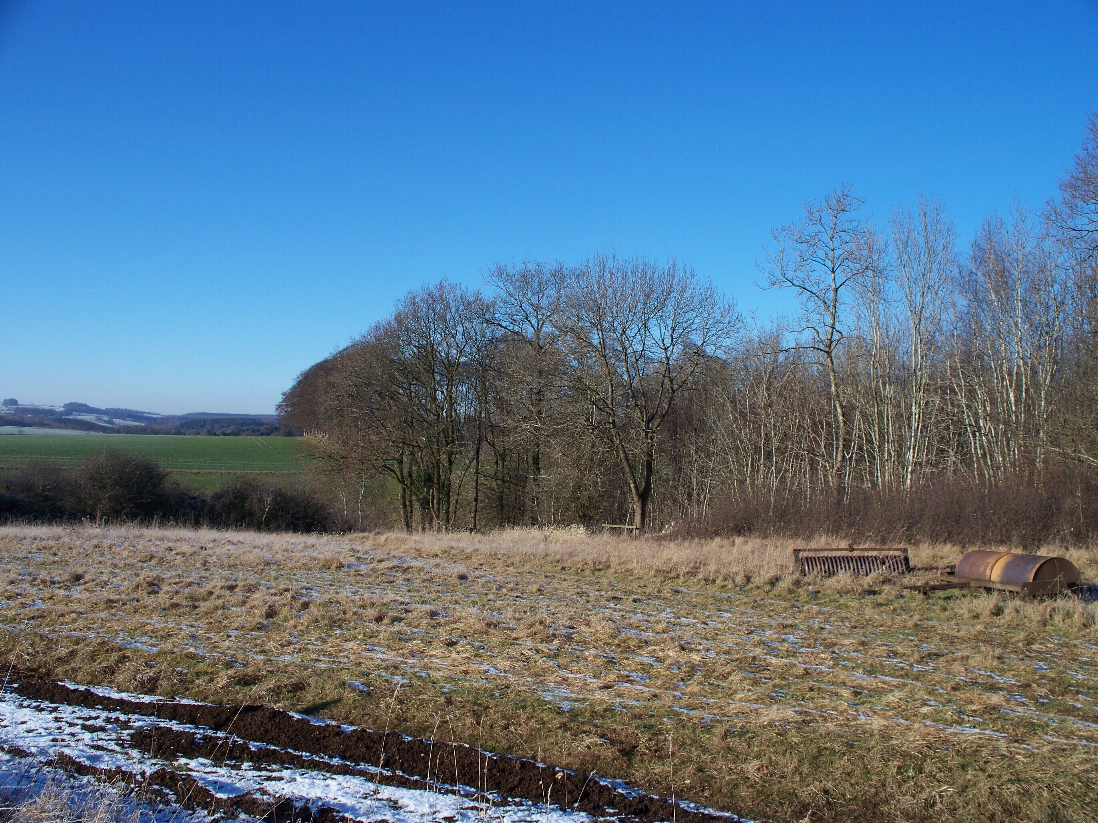 A rural landscape with a field, trees, a rusty metal structure, and a distant hill.