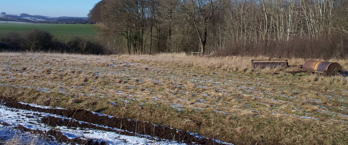 A rural landscape with a field, trees, a rusty metal structure, and a distant hill.