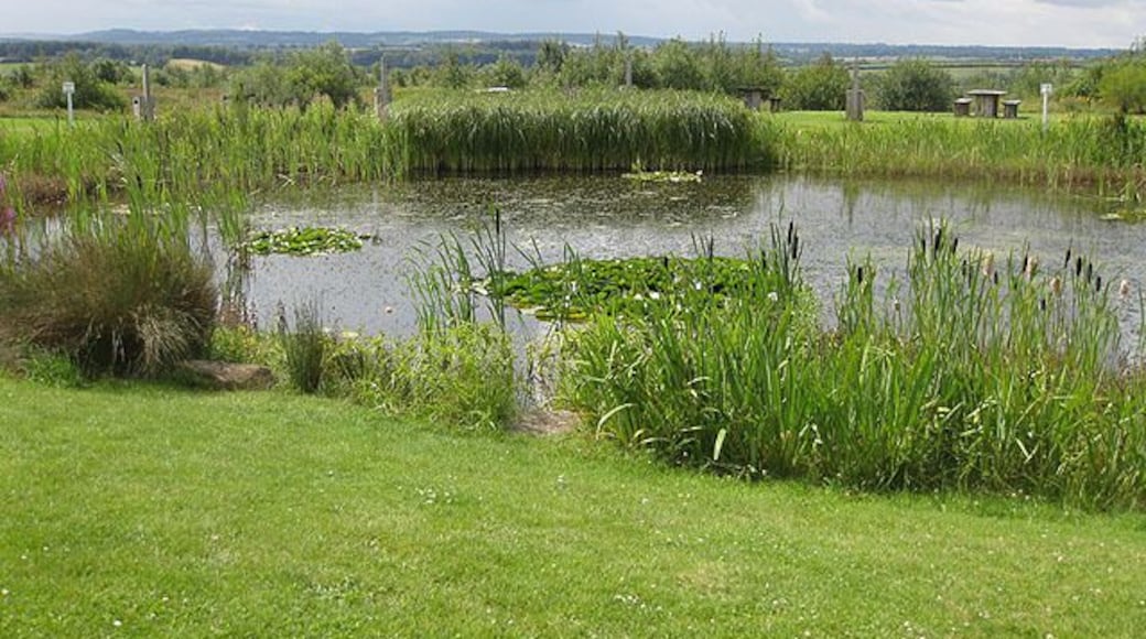 View across the lake A pleasant change from the motorway at the rear of the services at Donington Park, Jn 23a, M1.