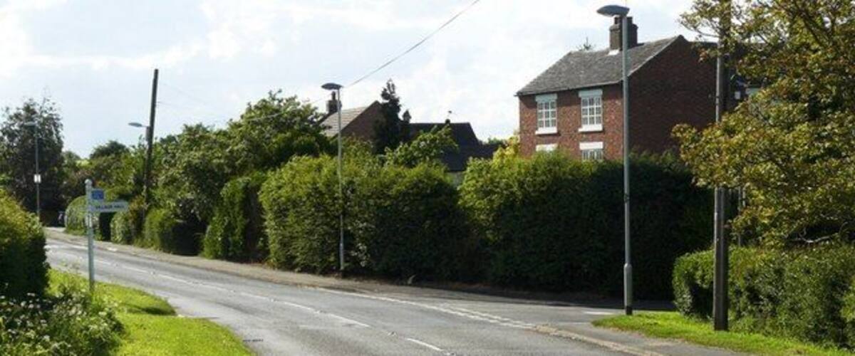 A two-lane road with a grassy median, residential houses, and a clear sky.