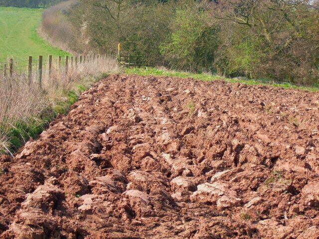 Ploughed field and footpath A corner of the ploughed field from the two footpaths