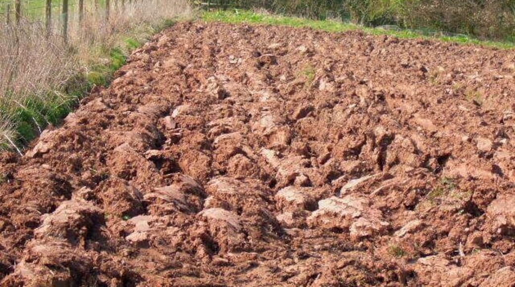 Ploughed field and footpath A corner of the ploughed field from the two footpaths