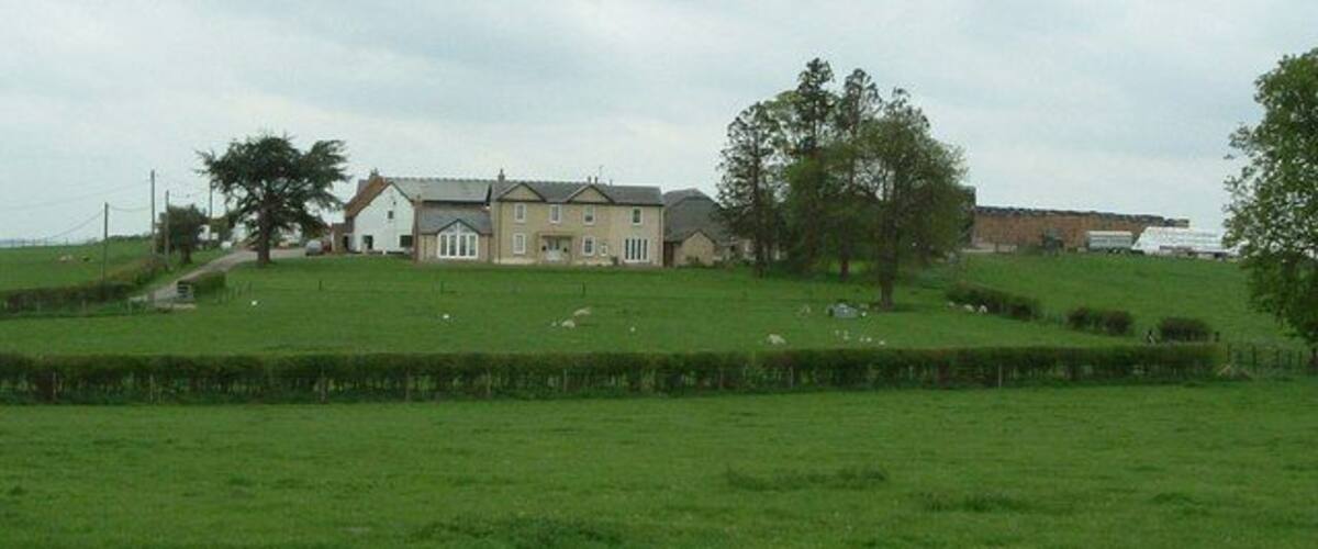 A green field with a large house and sheep in the background.