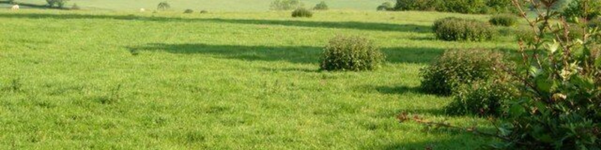 View east of Long Buckby. Looking south east from Lodge Lane.