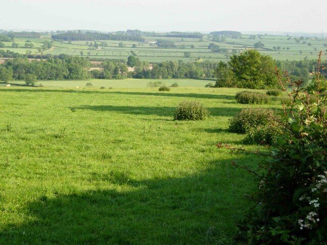 A green field with scattered bushes and trees in the distance.