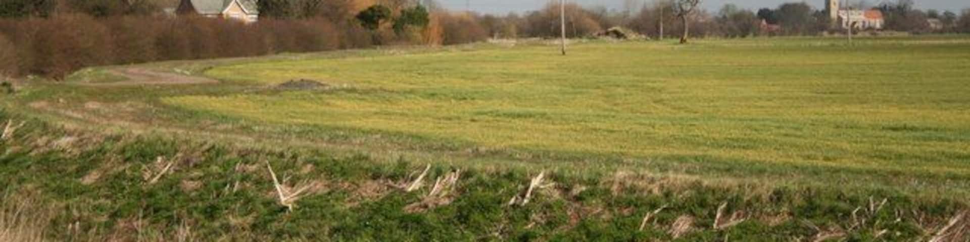 Two Churches St.Swithun's at Long Bennington and All Saints at Westborough from Church Lane
