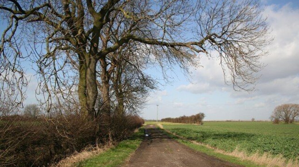 Bennington Fen Track from Fen Lane to Willow Tree Farm and Fen Farm on Bennington Fen