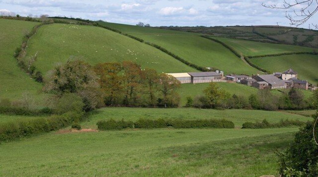 Valley above Read's Farm. From the lane from Loddiswell, a view down the valley sheltering 1295672 (right).