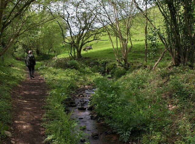 Stream by the path to Loddiswell Loddiswell Footpath 19 climbs away from the Avon valley beside a small stream towards Read's Farm.