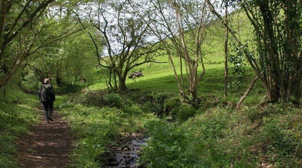 Stream by the path to Loddiswell Loddiswell Footpath 19 climbs away from the Avon valley beside a small stream towards Read's Farm.