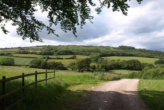Black Down from near Wigford. The southern slopes of the hill from the lane shown in 1350912.