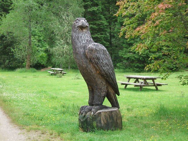 Wooden Eagle One of several wooden animal carvings seen mostly at visitor centres throughout the Argyll Forest Park though this one was in the village of Lochgoilhead.