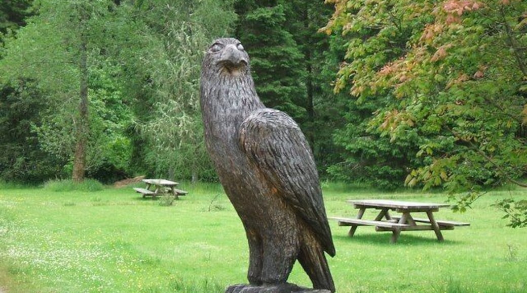Wooden Eagle One of several wooden animal carvings seen mostly at visitor centres throughout the Argyll Forest Park though this one was in the village of Lochgoilhead.
