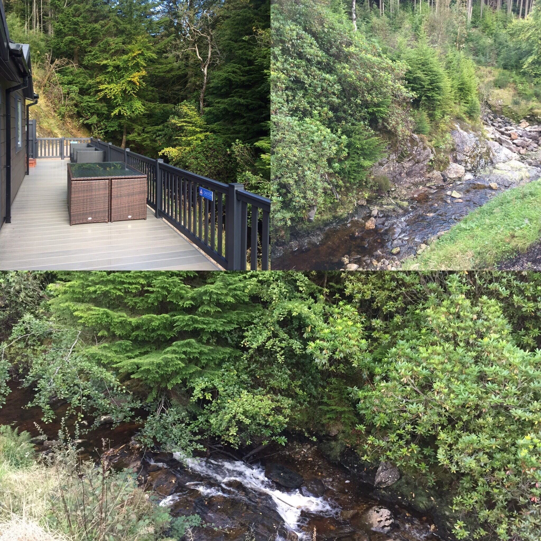 Drimsynie Estate, Argyll. Lovely spot for a break away from it all but only 1.5hrs north west of Glasgow, on the shores of a sea loch. 