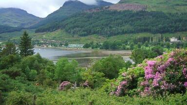 A lake surrounded by lush green hills and mountains.