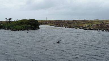 A rocky shoreline with a small island covered in greenery, a calm sea, and a cloudy sky.