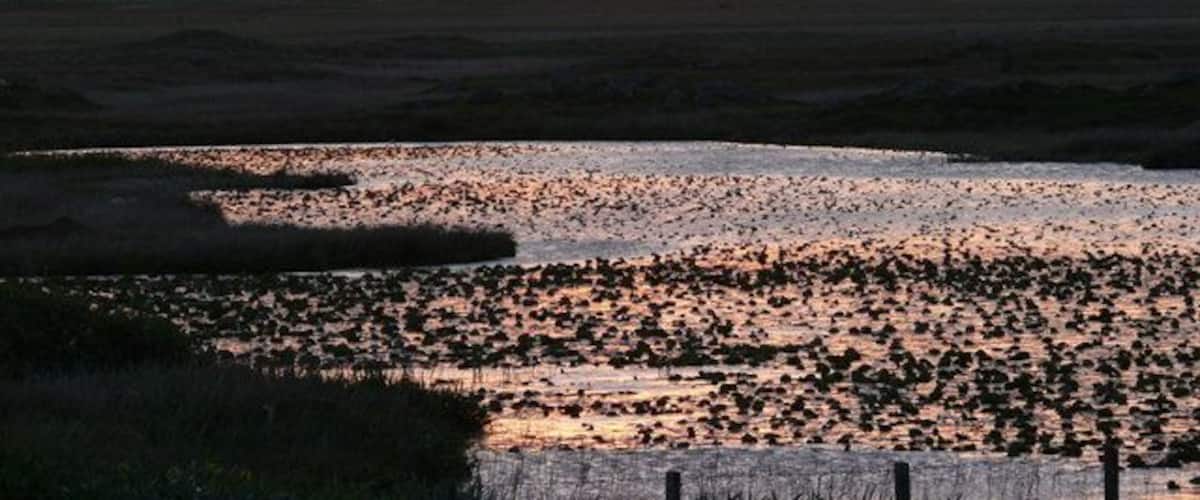 Loch Nighe at sunset Taken from the road through Aisgernis township