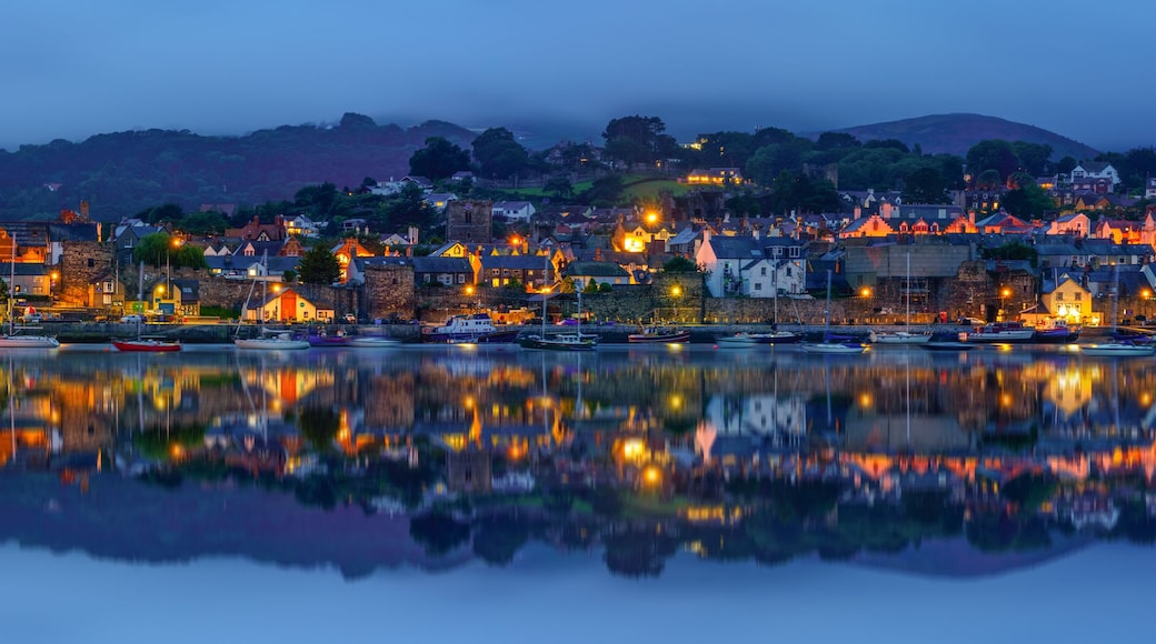 A historic castle with a bridge, a town with buildings, and a calm body of water reflecting the scene.