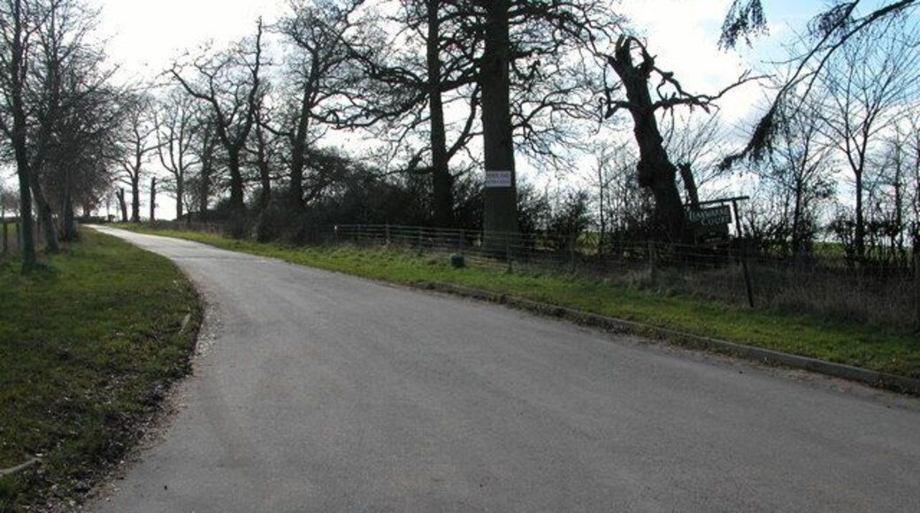 Driveway to Llanwarne Court.
