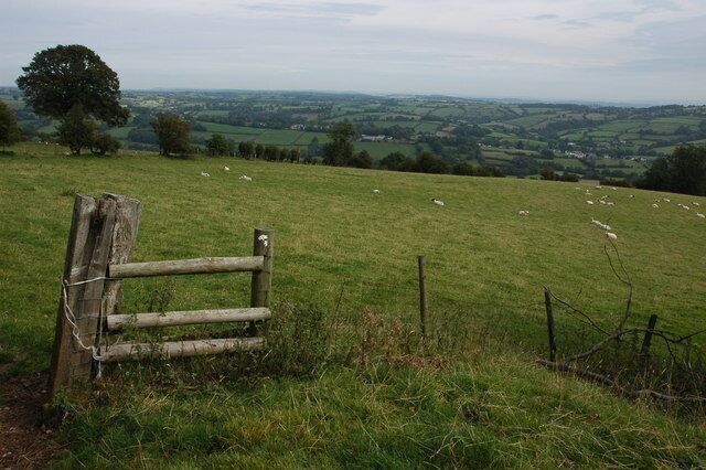 Footpath to Longtown A footpath crosses this field enroute to Longtown which can be seen in the valley bottom. The remains of a footpath marker can be seen on the stake in the foreground.