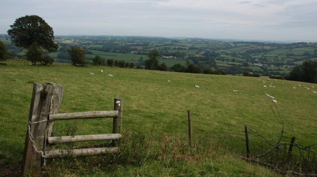 Footpath to Longtown A footpath crosses this field enroute to Longtown which can be seen in the valley bottom. The remains of a footpath marker can be seen on the stake in the foreground.