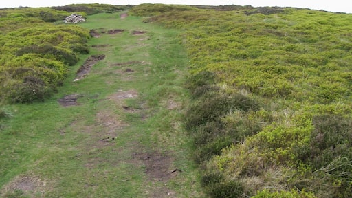 Offa's Dyke Path Offa's Dyke Path heading Northwards past a small cairn