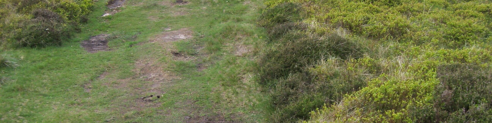 Offa's Dyke Path Offa's Dyke Path heading Northwards past a small cairn
