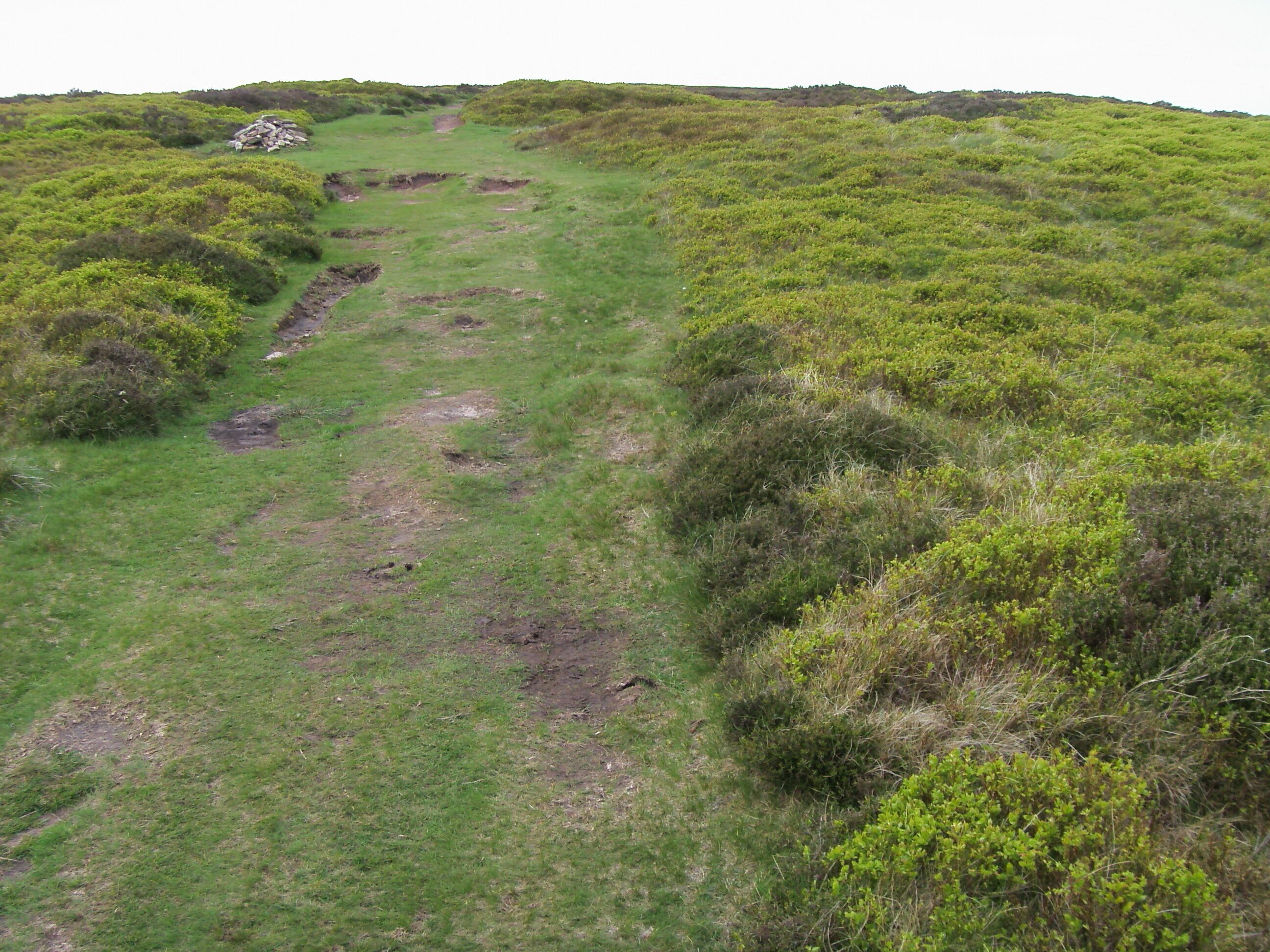 A grassy hillside with a path and scattered rocks.