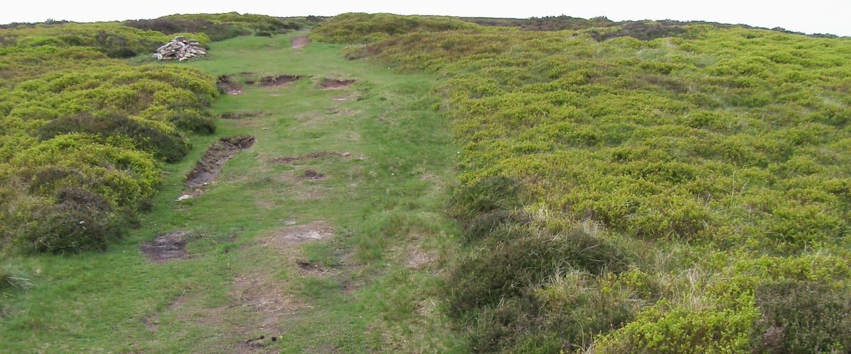 A grassy hillside with a path and scattered rocks.