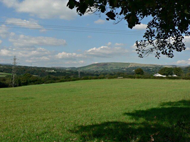Pasture and Mynydd y Glyn from Llantrisant Common